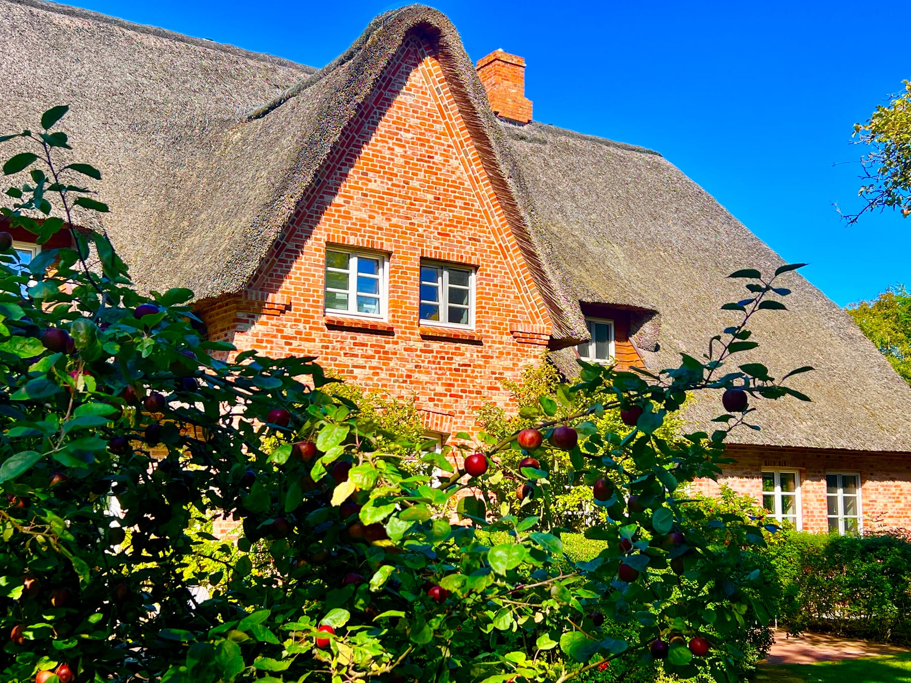 Reetdach-Haus mit Garten, eingebettet in die Landschaft