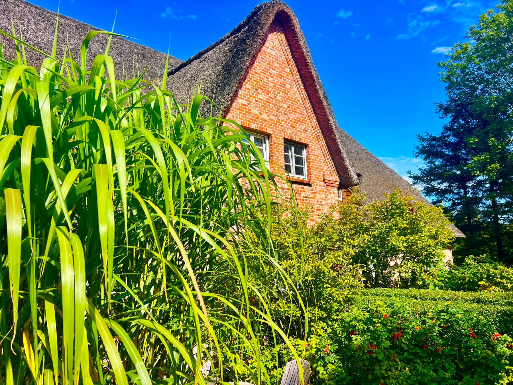 Gartenweg zum Reetdach-Haus